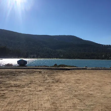 Palace Hotel de apartamente *